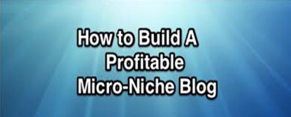 micro-niche-site